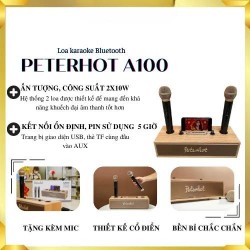 Loa Karaoke Peterhot A100