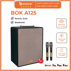 Loa di dộng Bluetooth Karaoke A-125